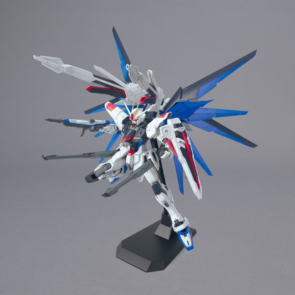 1/100 MG Freedom Gundam Ver.2.0 - Artrovo Gundam