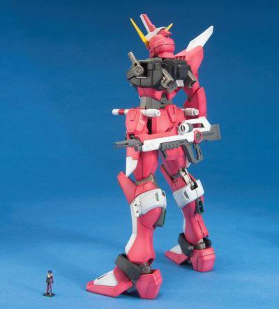 Bandai 1/100 MG Infinite Justice Seed Model Kit