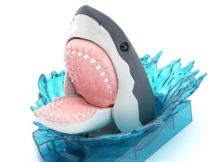 Bandai Great White Shark Exploring Lab Model Kit — box art