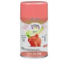 Testors Craft Gloss Coral Spray 3pk