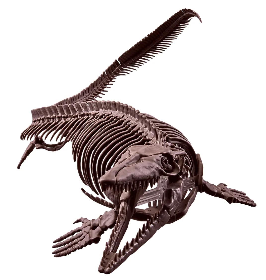 Bandai 1/32 Mosassaurus Imaginary Skeleton Model Kit — official product photo 1