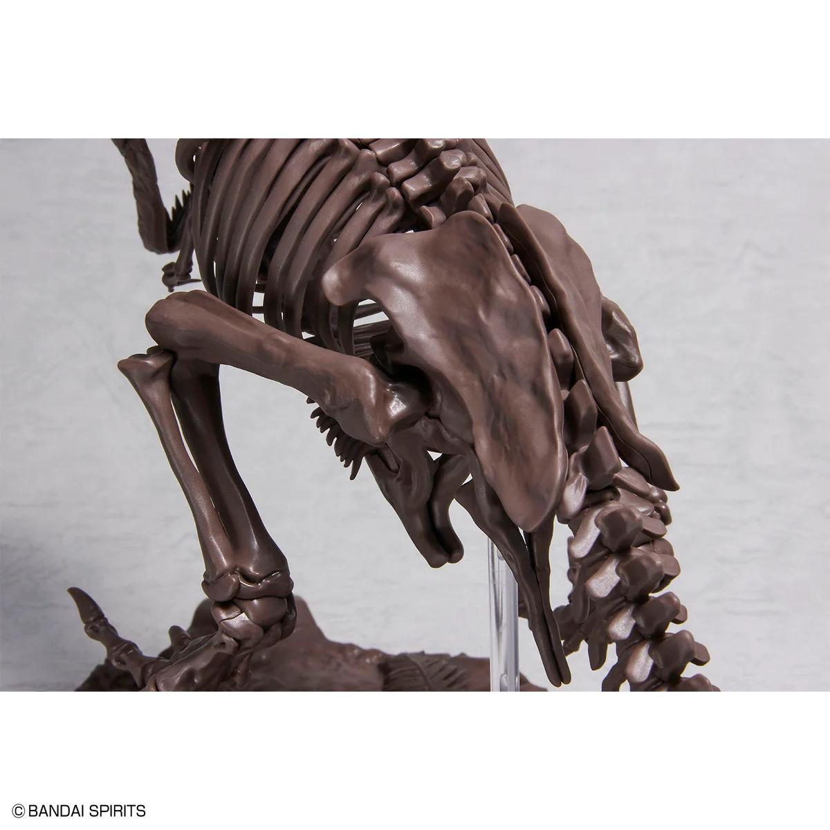 Bandai 1/32 Tyrannosaurus Imaginary Skeleton Model Kit — official product photo 3