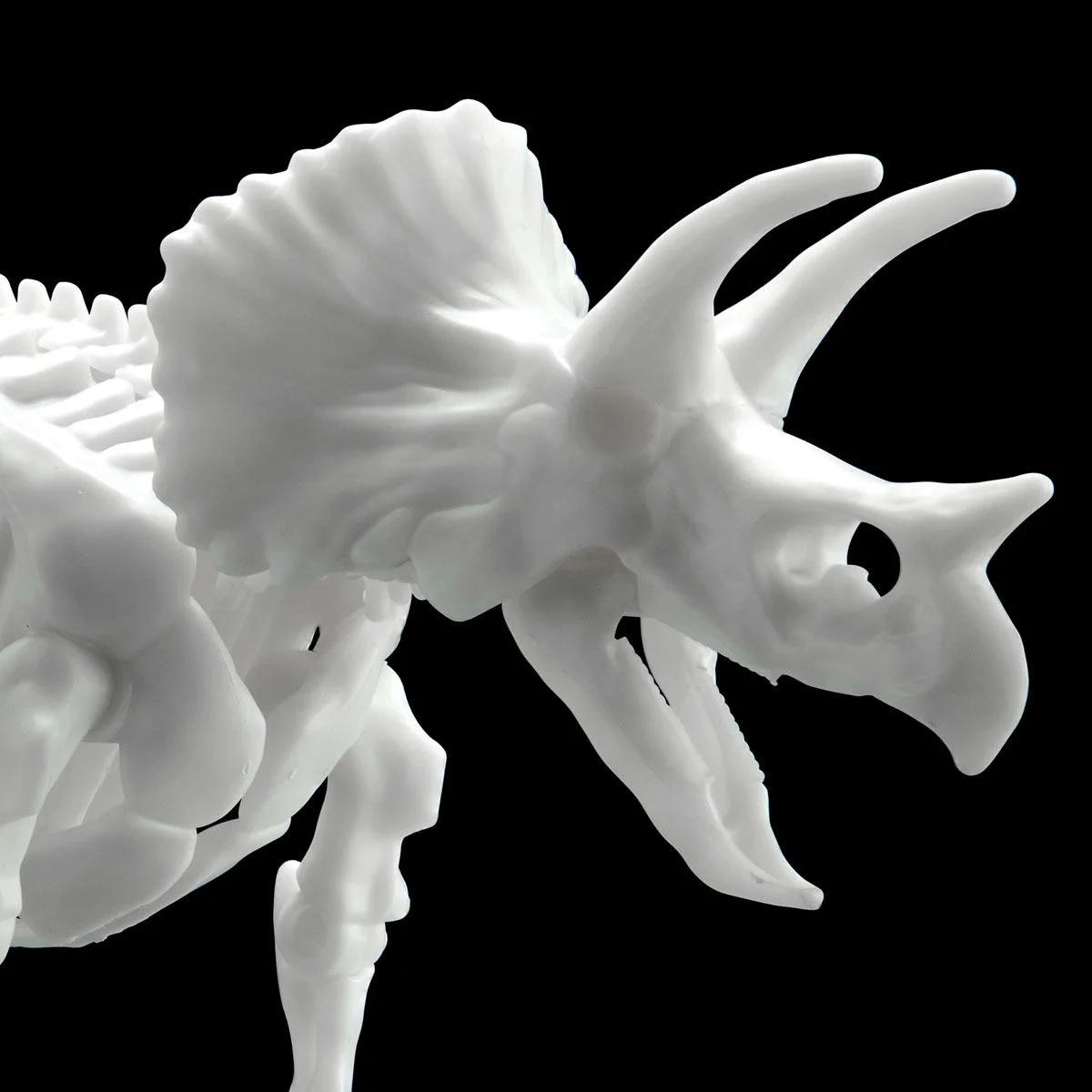 Bandai Triceratops Limex Skeleton Model Kit — official product photo 1