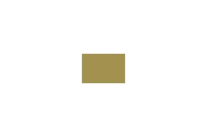 Vallejo German Dark Yellow Ral 7028 6p