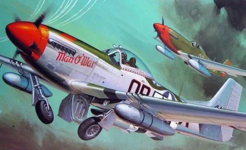 Hasegawa 1/32 P-51D Mustang Model Kit — box art