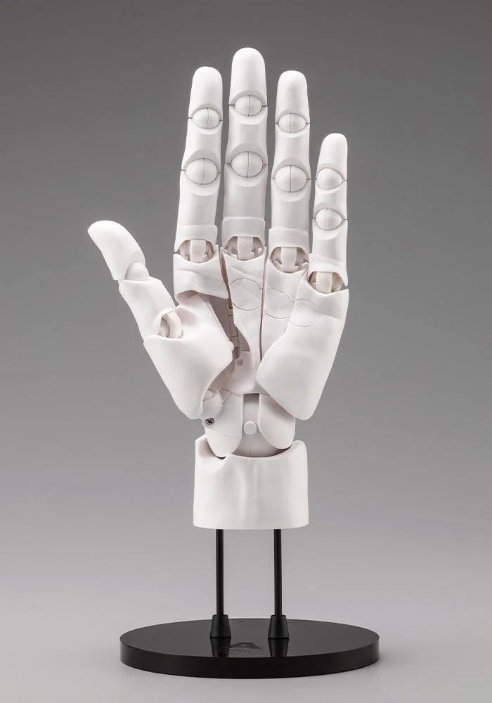Artist Support Item Hand Model Men's/L -White- — official product photo 1